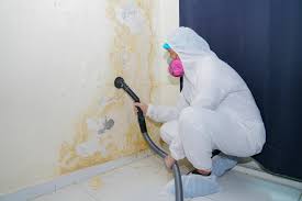 Environmental Consulting for Mold Prevention in Slippery Rock University, PA